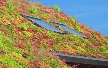 Newthorpe living roof systems