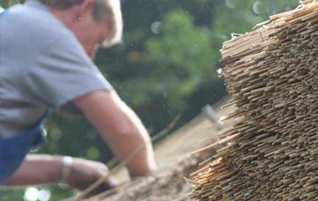 professional Newthorpe thatchers