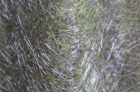 Newthorpe fibreglass roof work